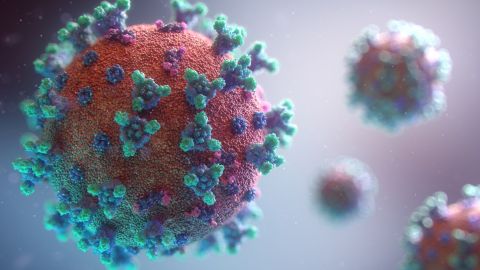 Un modelo de coronavirus.