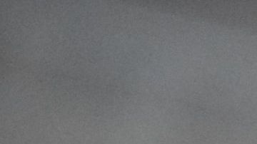 Un gato puede querer comunicarse contigo si maúlla en exceso.