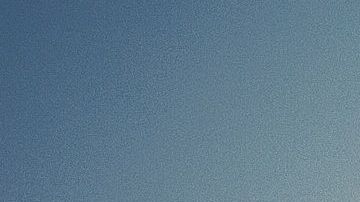 Varios felinos han sido parte importante en la trama de una cinta.