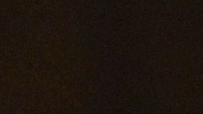 Lograr una buena relación entre dos gatos no es una tarea fácil.