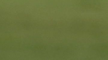 Vela y Blanco jugaron el Mundial de 2010.