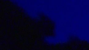 Bomberos atienden emergencia en California.