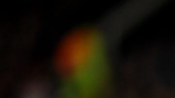 Kylian Mbappé podría perder valor debido a la crisis.