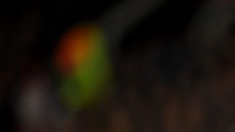 Kylian Mbappé podría perder valor debido a la crisis.