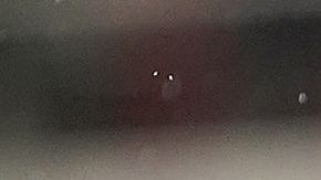 'Chicharito' es el anotador histórico de la Selección Mexicana.