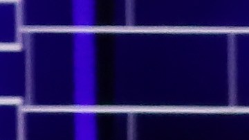 El exvicepresidente Joe Biden y el senador Bernie Sanders.