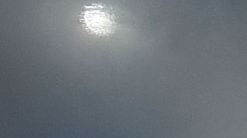 A Rodman no le importaría el dinero que le dejaría el combate ni la diferencia de edades en el ring.