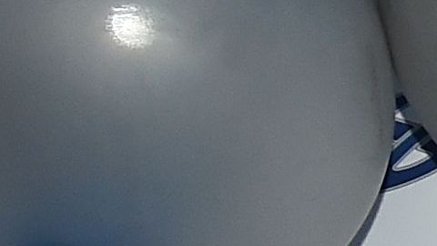 A Rodman no le importaría el dinero que le dejaría el combate ni la diferencia de edades en el ring.