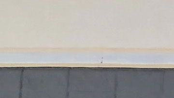 La cadena de supermercados Walmart busca nuevos trabajadores.