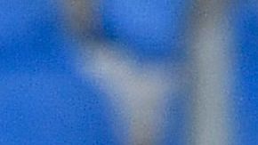 Pese a la suspensión de la liga y al riesgo latente de la propagación del coronavirus, inexplicablemente el equipo de Napolés volverá a entrenar.