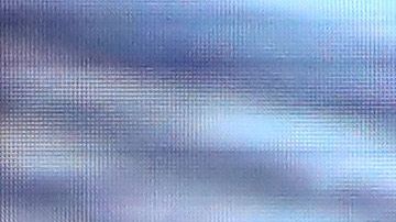 Kamala Harris apoyó recientemente a Biden