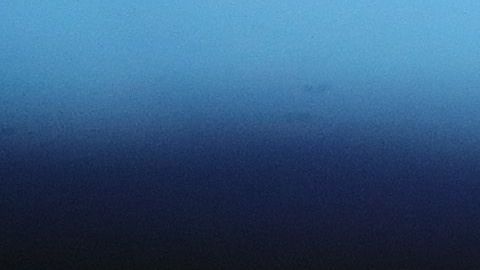 Boone mostró su gratitud.