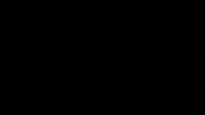 Regalarán boletos para el Lollapalooza a quienes se vacunen contra el covid-19.