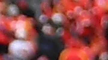 El capitán de la defensiva de los Texans donó $350,000 dólares al Banco de Comida de Houston.