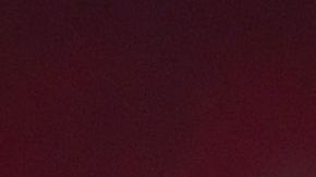 El delantero tiene un fantástico promedio de casi un gol y una asistencia por partido en la Bundesliga.