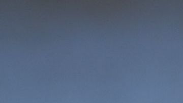 Los pelícanos suelen estar en zonas costeras.