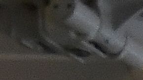 Existen varios procesos de limpieza contra el coronavirus en los aviones.