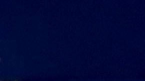 Ulsan Hyundai v FC Tokyo - AFC Champions League Group F