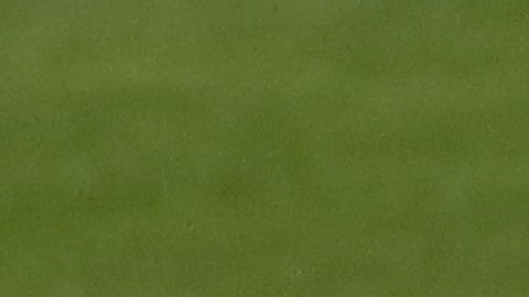 El Brescia marchaba en el último lugar de la tabla general al momento de la suspensión de la liga italiana.