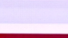 El senador Bernie Sanders y el exvicepresidente Joe Biden.