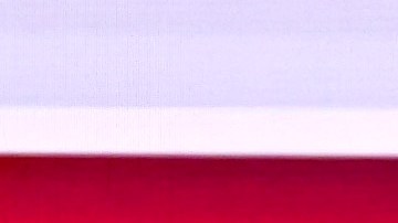 El senador Bernie Sanders y el exvicepresidente Joe Biden.