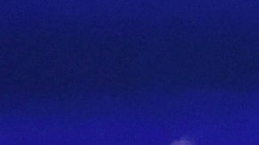 El senador Bernie Sanders y el exvicepresidente Joe Biden lideran la contienda demócrata.