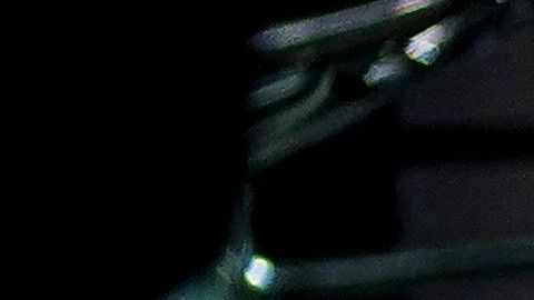 10 millones de personas podrían ser despedidas en una primera etapa en la industria restaurantera.