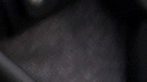 Sunny es un golden retriever de 7 años de edad.