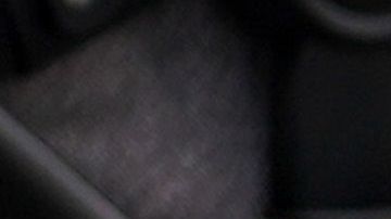 Sunny es un golden retriever de 7 años de edad.