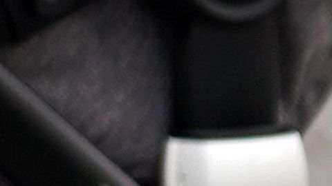 Sunny es un golden retriever de 7 años de edad.