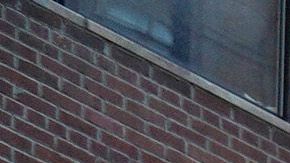 La avenida Madison desierta por la cuarentena parcial por coronavirus en NY.