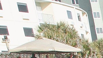 Los 'spring breakers' fueron criticados por llenar playas en Florida.