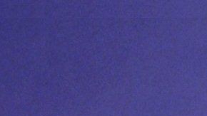 La velocista estadounidense dejó una huella profunda en el mundo del deporte.