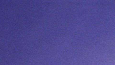 La velocista estadounidense dejó una huella profunda en el mundo del deporte.