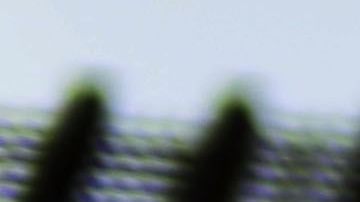 Church Service Held at US/Mexico Border Fence