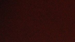 El 54 por ciento de las mujeres alrededor del mundo dijo que las ganancias de ofrecer su propiedad contribuyen a hacer crecer su negocio