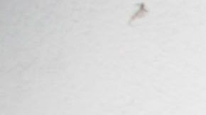 El barrio de Wynwood se ha convertido en un centro artístico, cultural y de entretenimiento en Miami.