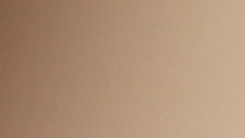 La empresa tecnológica recomienda  a los 5,000 empleados de Seattle a trabajar desde casa hasta el 31 de marzo.