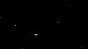 NYPD tiene mayor presencia en parques.