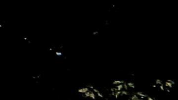 NYPD tiene mayor presencia en parques.