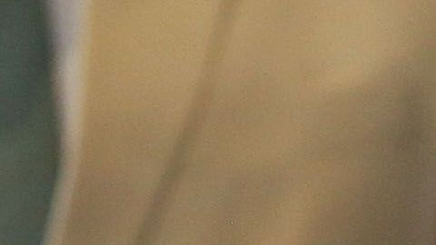 Greg Abbott, gobernador de Texas.