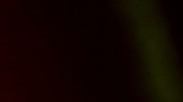 Zion estuvo hospitalizado en el hospital ABC de la Ciudad de México.