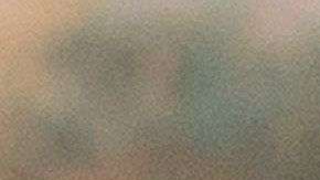 Solo el 2.4% de los trabajadores latinos se dedica a labores agrícolas./Archivo