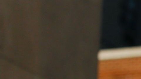 51% de la población de Estados Unidos son mujeres.
