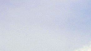 Existe un amplio movimiento de supremacistas blancos en EEUU.