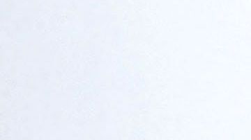 La iniciativa "She Will" tiene como objetivo inspirar a las mujeres a ser líderes cerrando la brecha de género en la ingeniería y la tecnología.