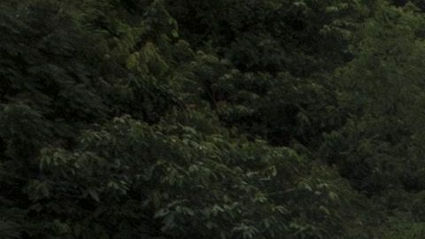 Un vertedero de Tailandia, parecido al que tuvo que buscar la mujer que perdió su anillo.