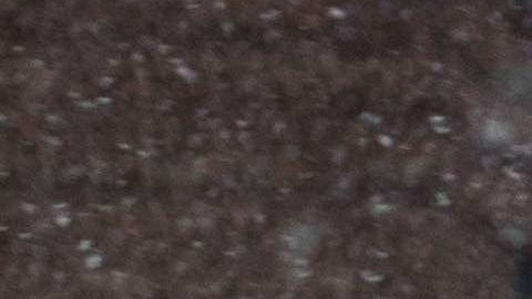 Puede nevar de nuevo en NY la próxima semana.
