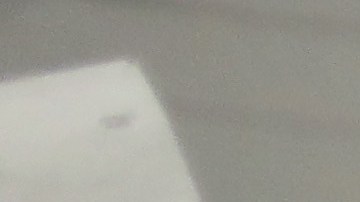 ICE ha sido criticada por activistas por arrestos en medio de la crisis por coronavirus.