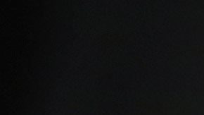 Los casos de deportaciones también se retrasan en cortes.